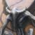 Profile picture of Nightgaunt